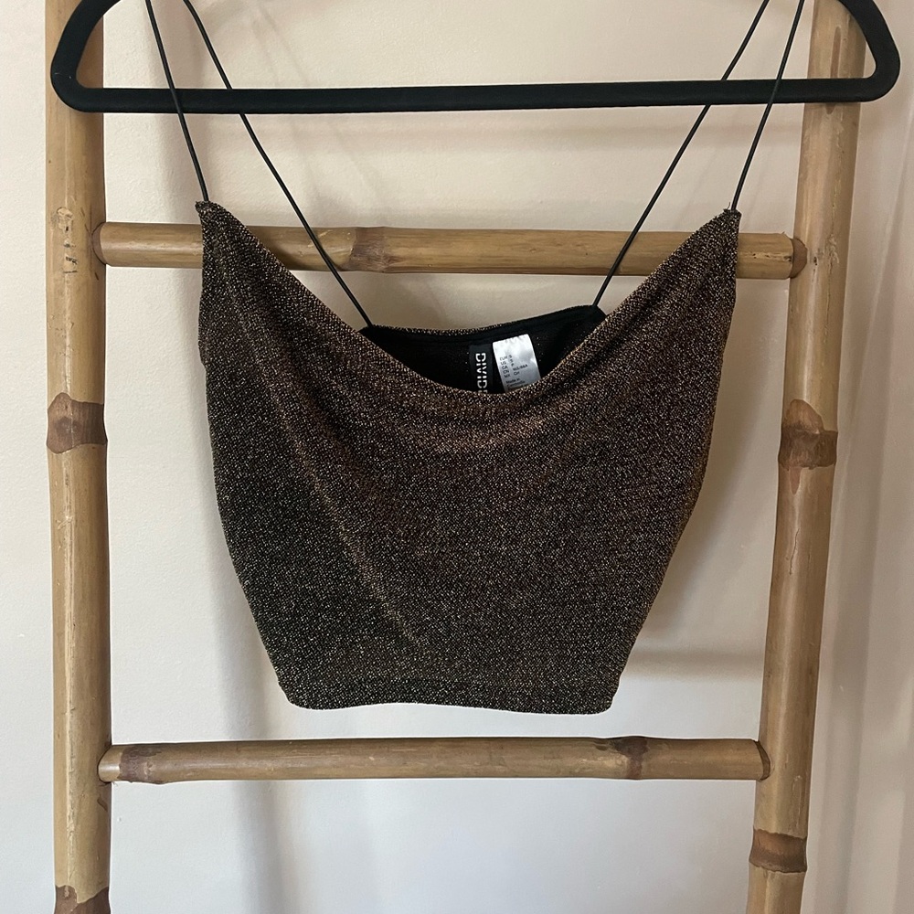 H&M Shimmering Brown Crop Top